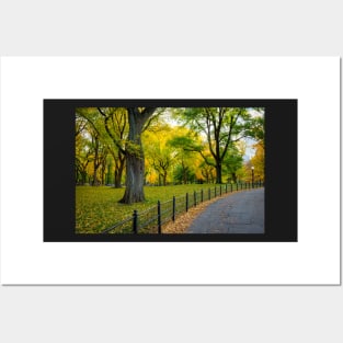 Fall Path in the Park Posters and Art